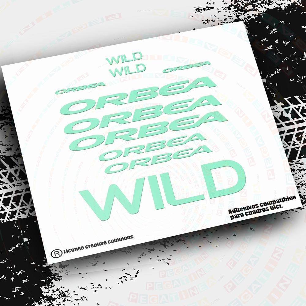 PEGATINAS ORBEA WILD 2020, 2021 PB87