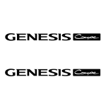 10cm x 0,8cm
